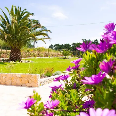 Casa Boavista Vakantiehuis *